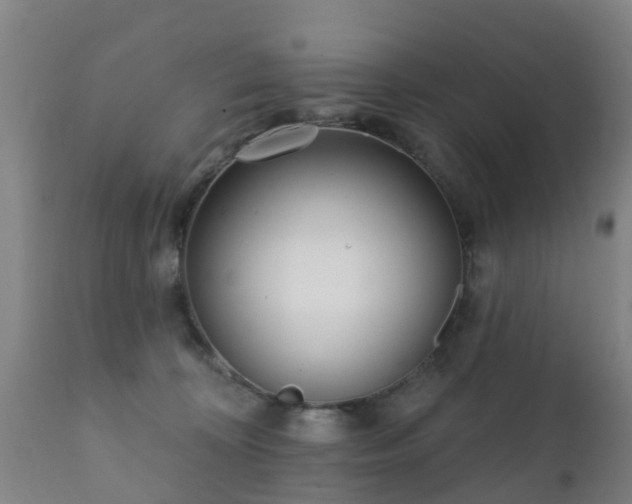 X0000112360324200908201509