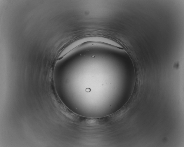 X0000112360325200908201509