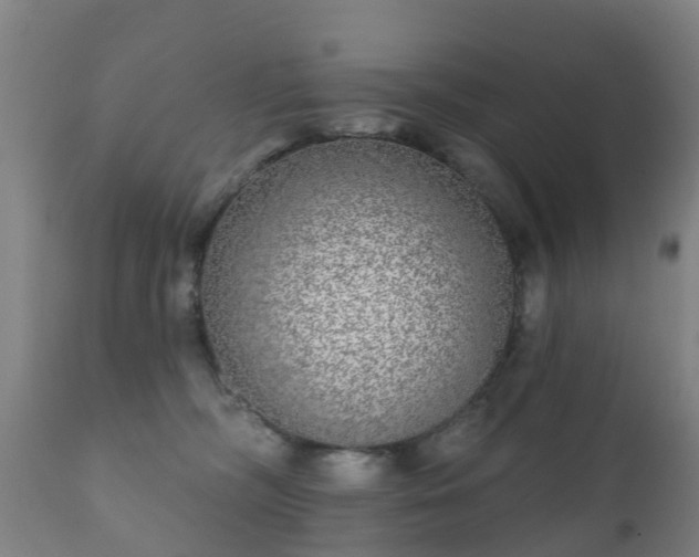 X0000112360326200908201509