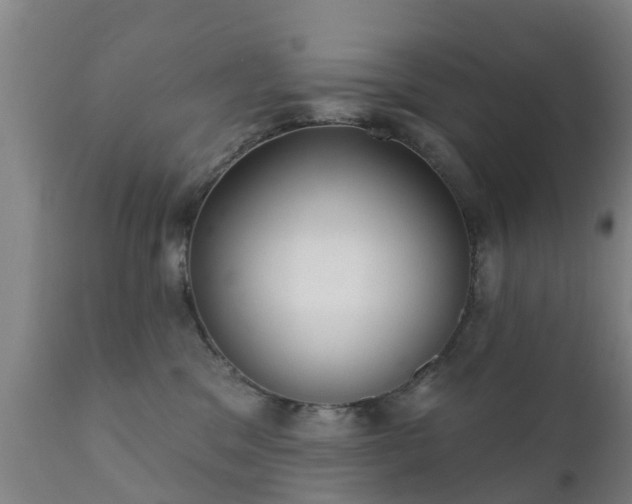 X0000112360329200908201509