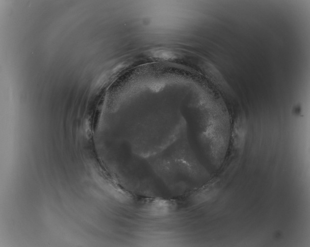 X0000112360330200908201509