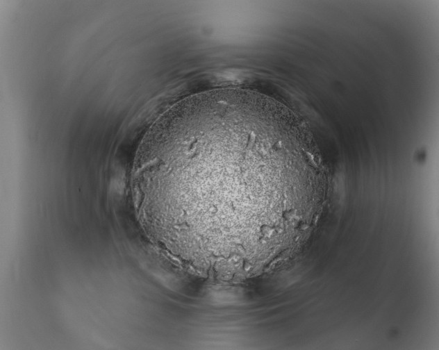 X0000112360331200908201509