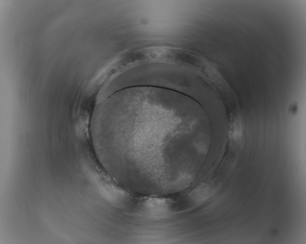 X0000112360332200908201508