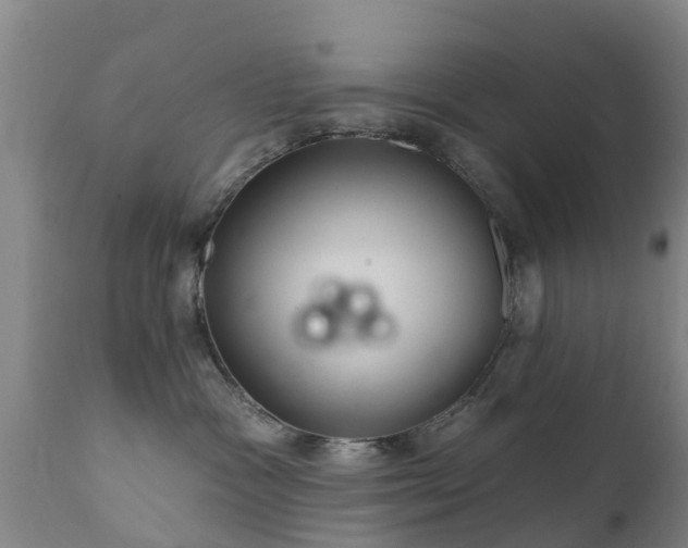 X0000112360333200908201508