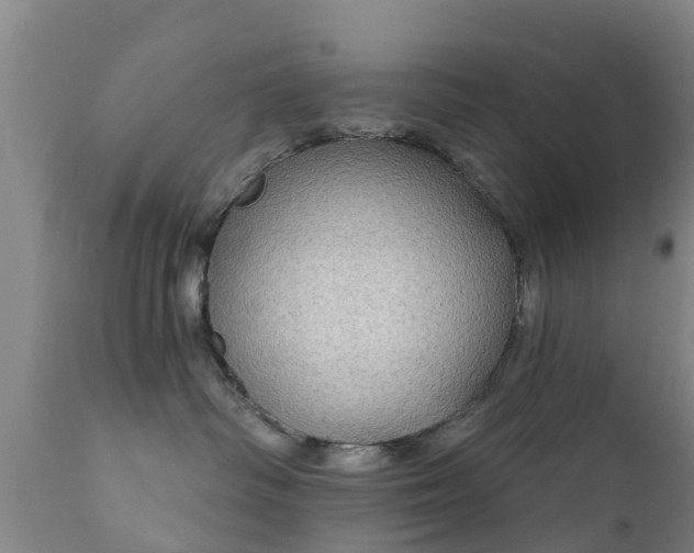 X0000112360334200908201508