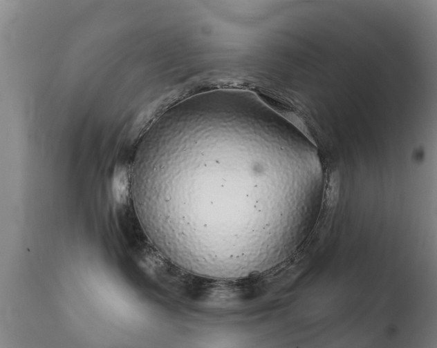 X0000112360335200908201508