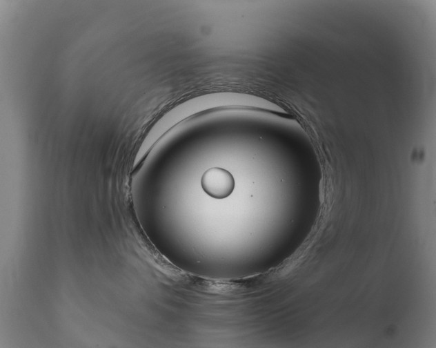 X0000112360336200908201508