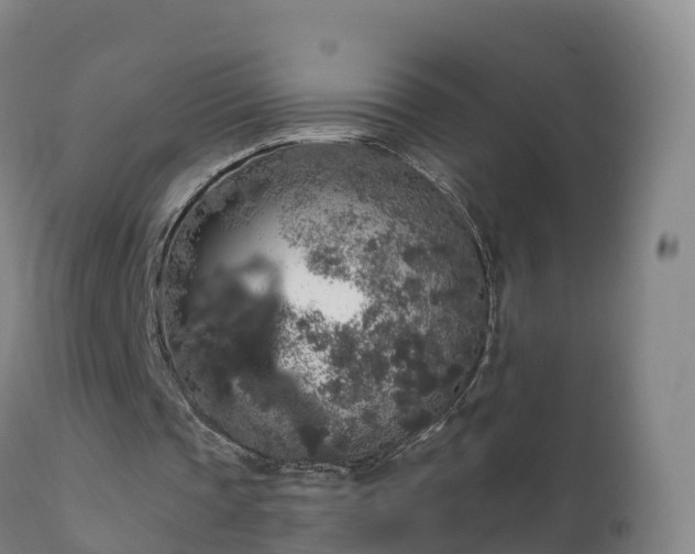 X0000112360337200908201508