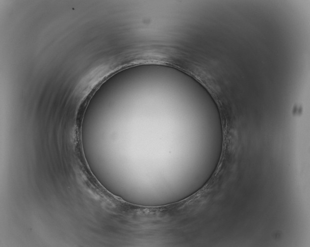 X0000112360338200908201508