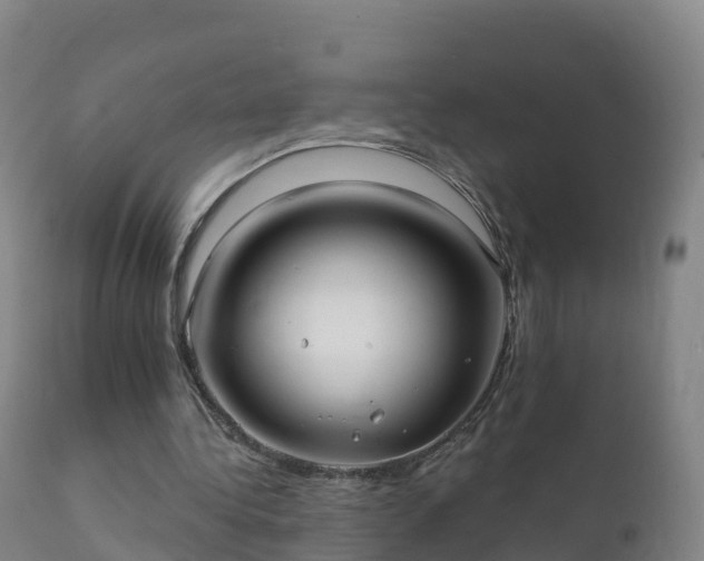 X0000112360340200908201508