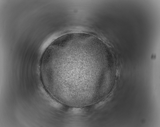 X0000112360341200908201508