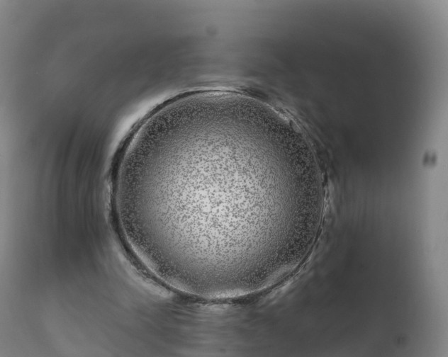 X0000112360342200908201508