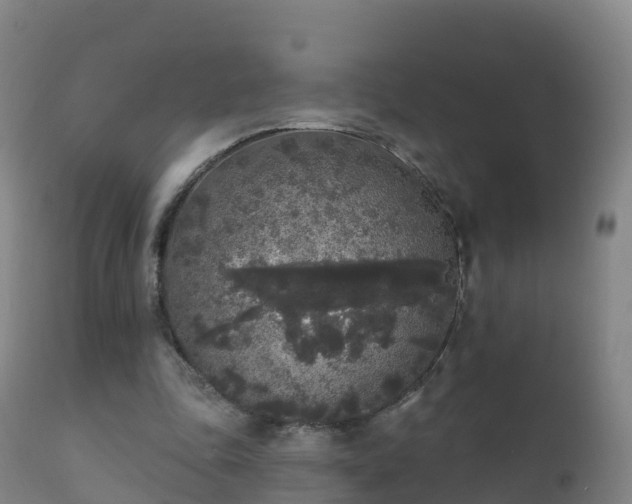 X0000112360343200908201508