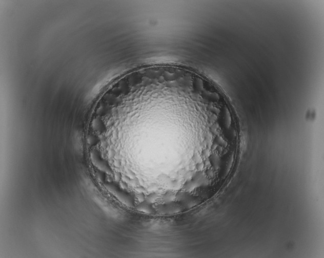 X0000112360345200908201508