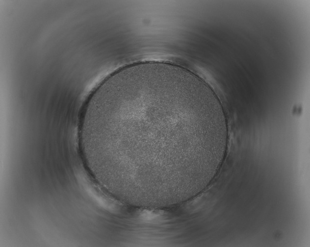 X0000112360346200908201508