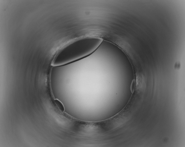 X0000112360348200908201508