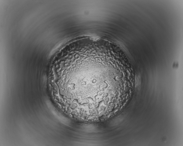 X0000112360349200908201508