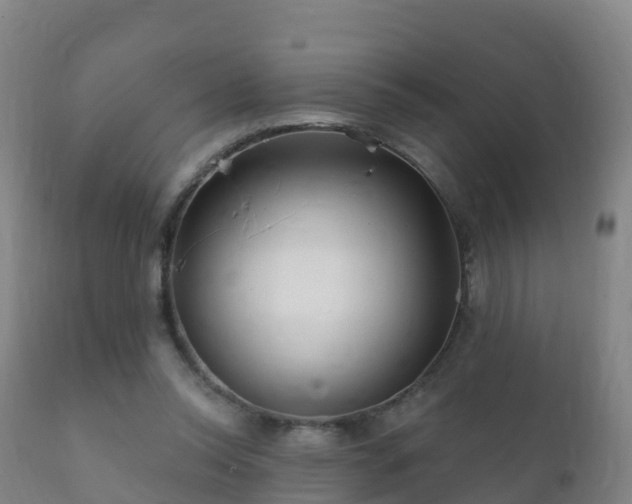 X0000112360350200908201508