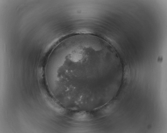 X0000112360351200908201508