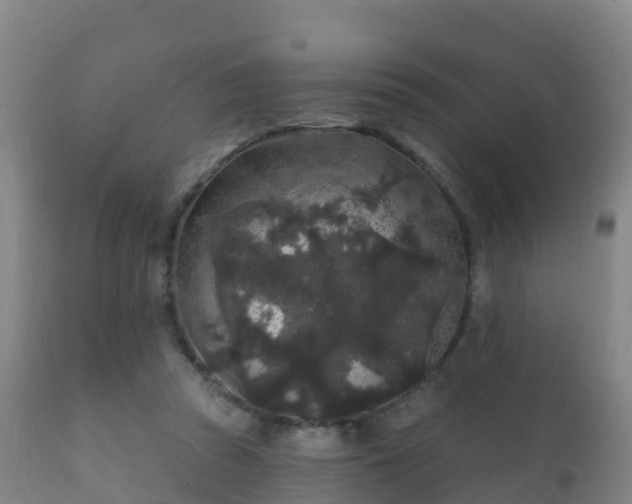 X0000112360353200908201508