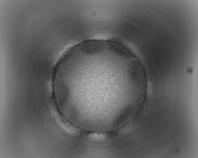 X0000112360354200908201508