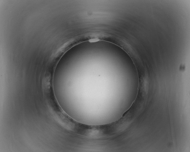 X0000112360356200908201508