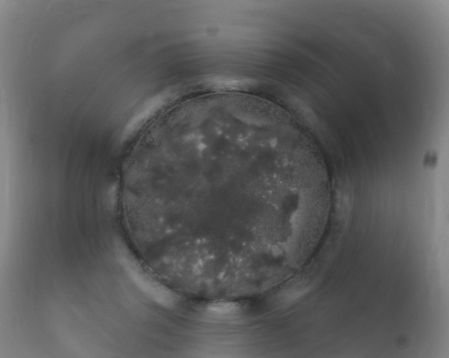 X0000112360357200908201508