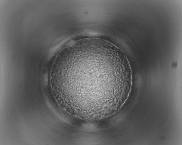 X0000112360358200908201508