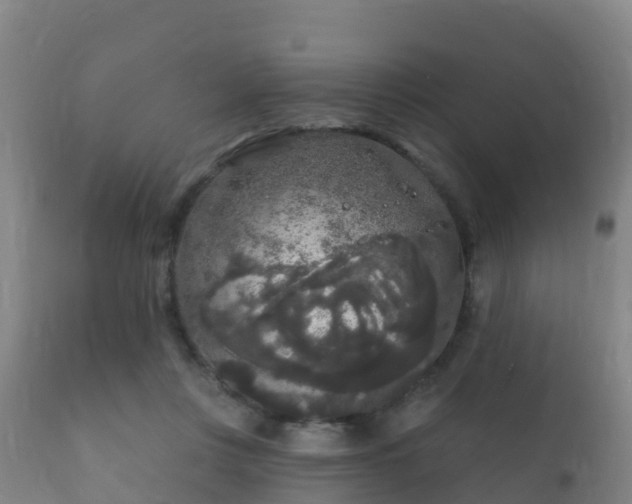 X0000112360359200908201508