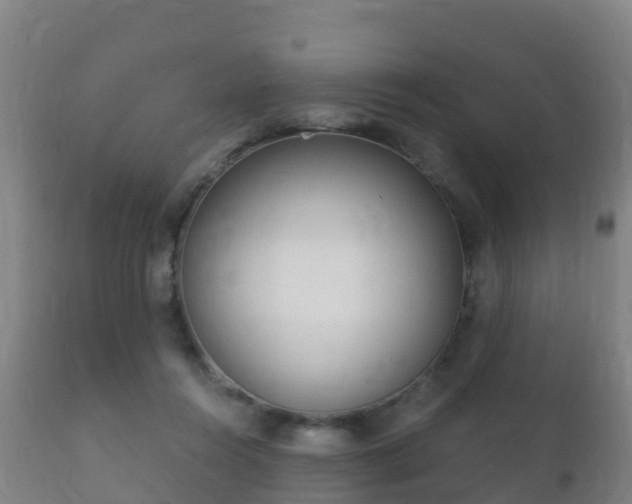 X0000112360360200908201508