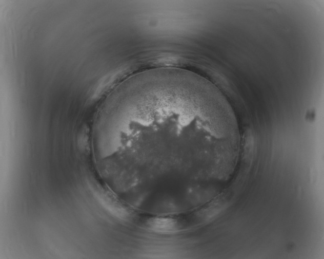 X0000112360361200908201508