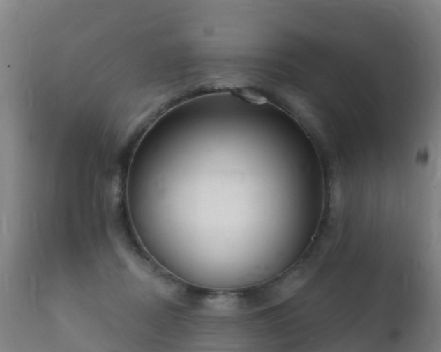 X0000112360362200908201508