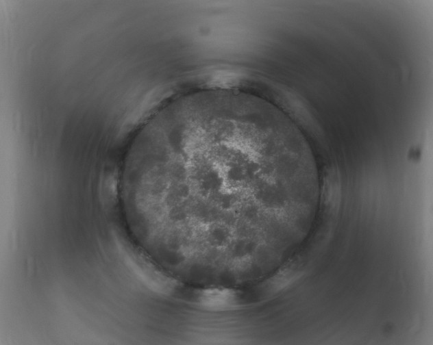 X0000112360363200908201508