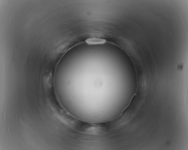 X0000112360364200908201508