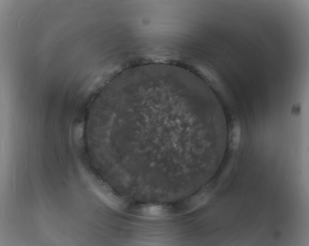 X0000112360365200908201508