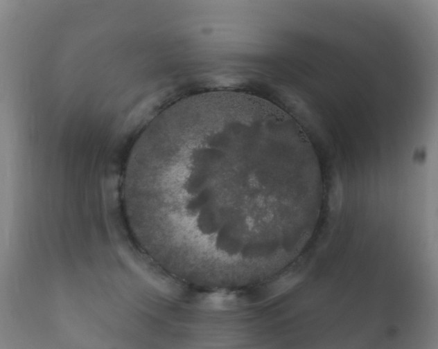 X0000112360366200908201508