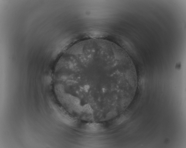 X0000112360367200908201508