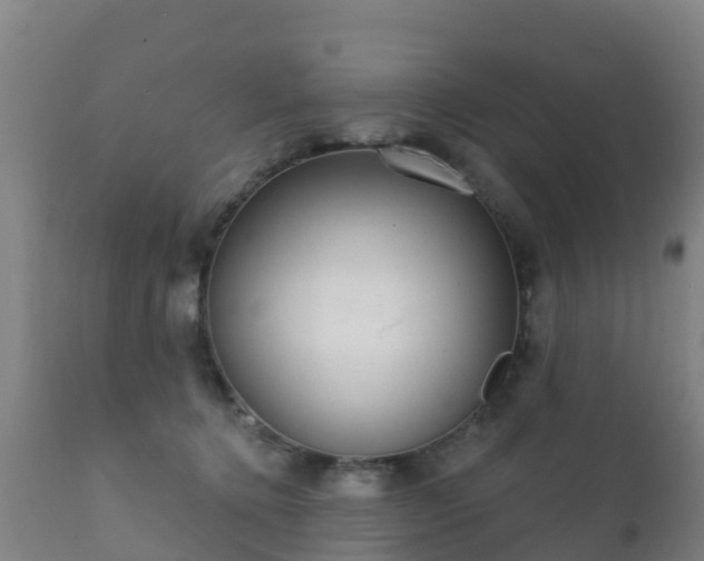 X0000112360368200908201508