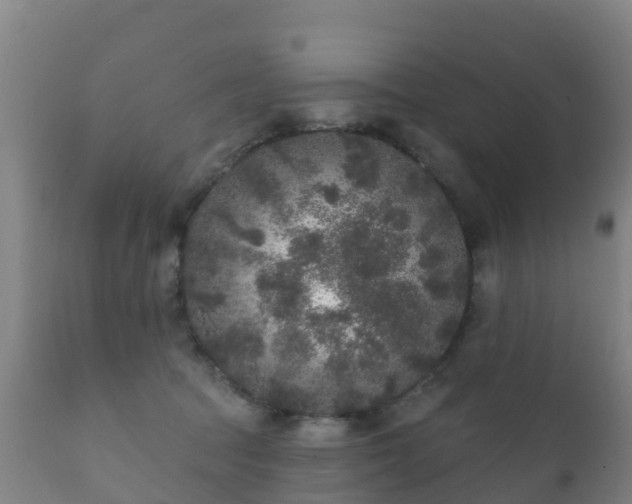 X0000112360369200908201508