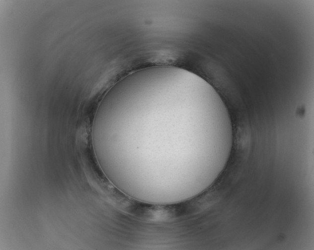 X0000112360370200908201508