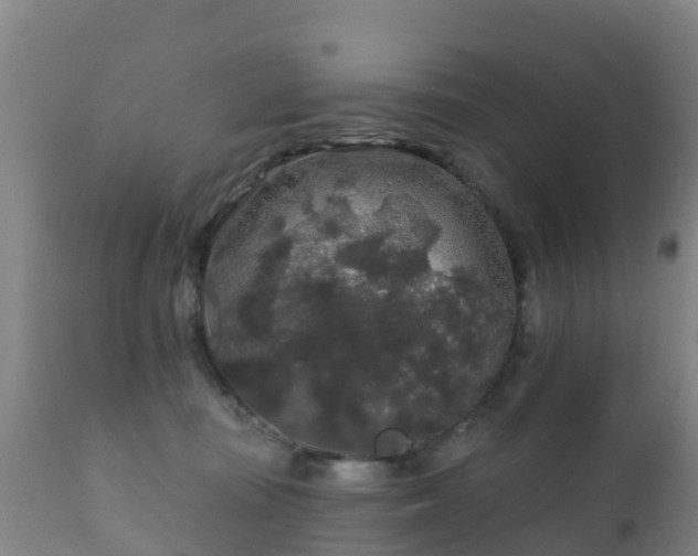 X0000112360371200908201508