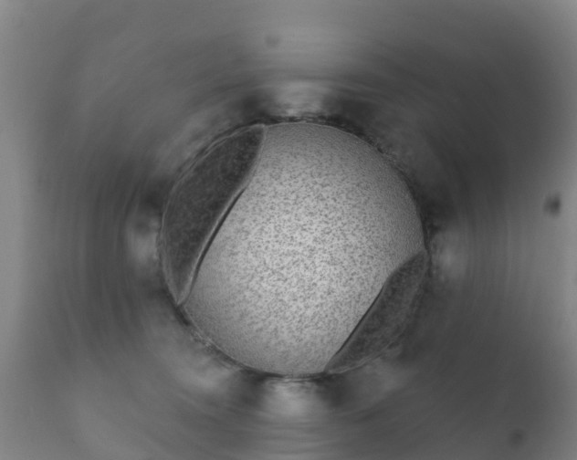 X0000112360372200908201508