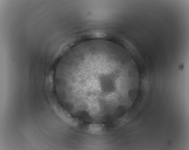 X0000112360373200908201508