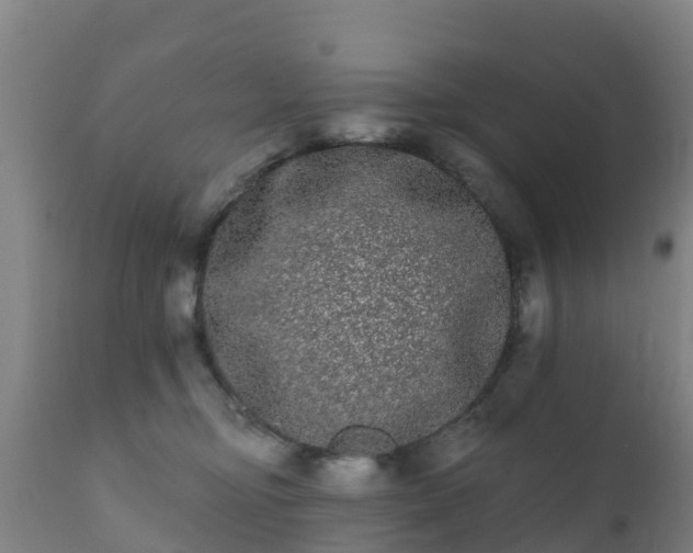 X0000112360374200908201508