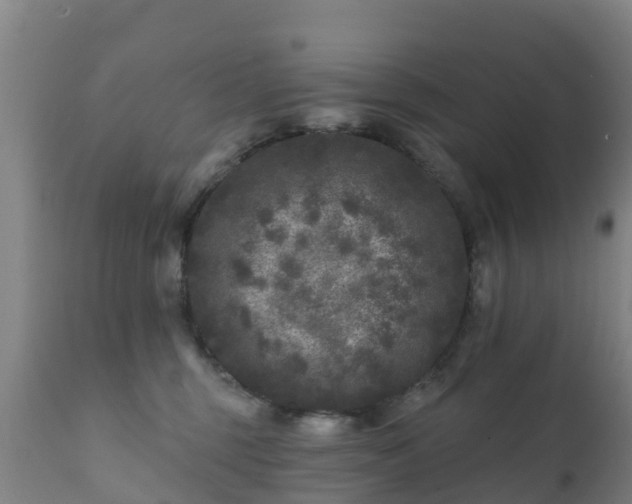 X0000112360375200908201508