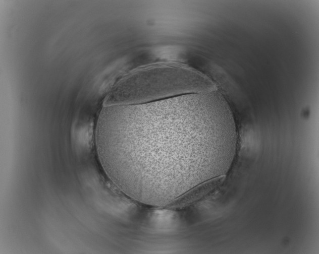 X0000112360376200908201508