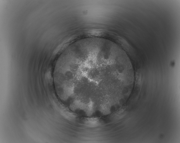 X0000112360377200908201508