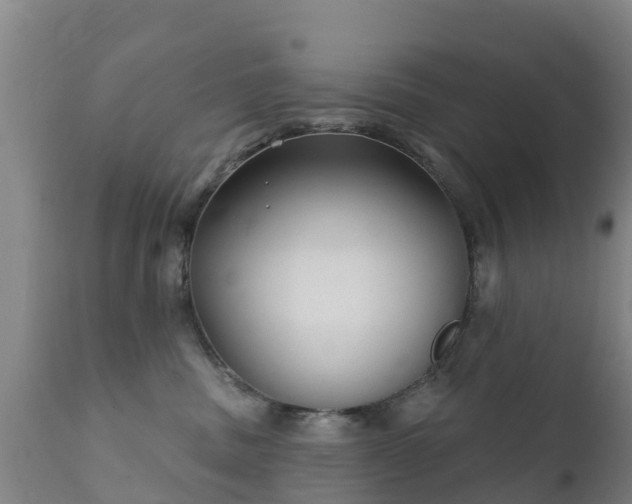 X0000112360379200908201508