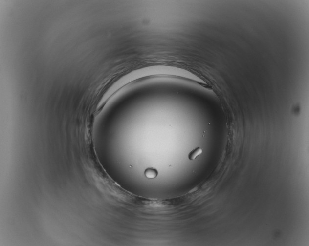 X0000112360380200908201508