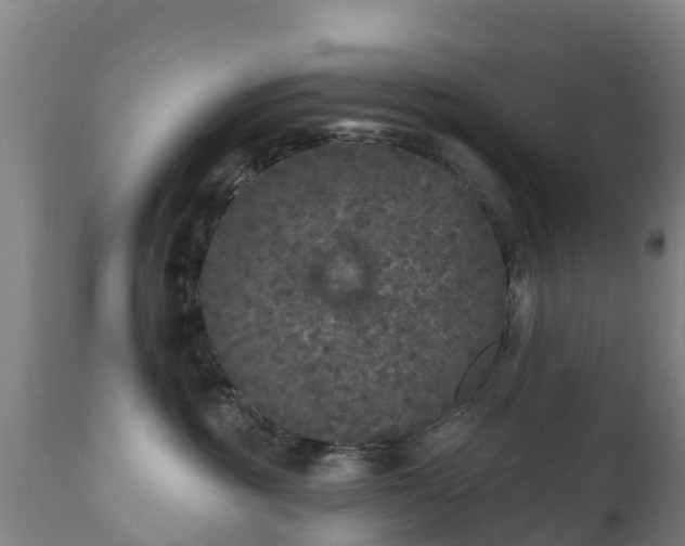 X0000112360381200908201508